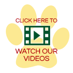paw